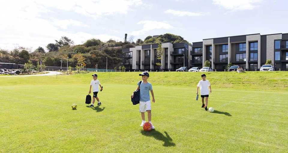 three kings development field 20250414